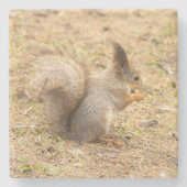 Dessous-de-verre En Pierre L'écureuil mignon mange une photo de noix (Devant)