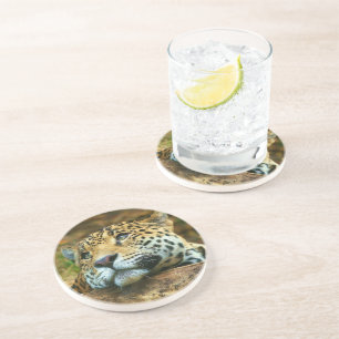 Dessous de verre en pierre léopard