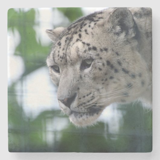 Dessous-de-verre En Pierre Leopard 003 (Devant)