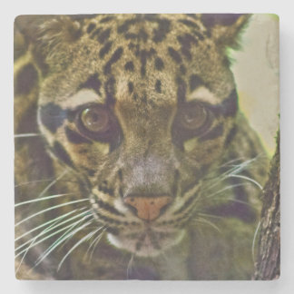 Dessous-de-verre En Pierre Leopard obscurci
