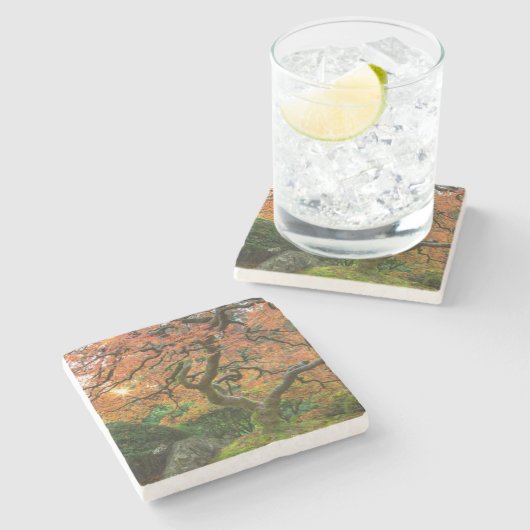 Dessous-de-verre En Pierre L'Érable Dans Les Jardins Japonais En Automne (Côté)