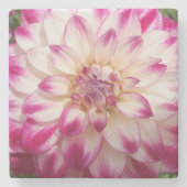 Dessous-de-verre En Pierre Les Beaux (Devant)