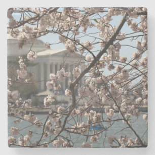 Dessous-de-verre En Pierre Les cerisiers en fleurs à Washington DC