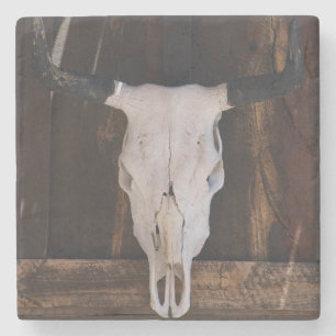 Dessous-de-verre En Pierre Les Etats-Unis, Arizona. Crâne sur un mur de