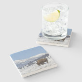 Dessous-de-verre En Pierre Les Etats-Unis, WY, Yellowstone NP, bison de bison (Côté)