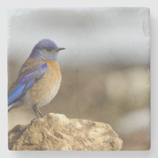 Dessous-de-verre En Pierre les oiseaux sont les seuls animaux à avoir des plu