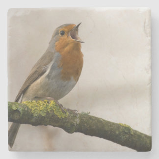 Dessous-de-verre En Pierre les oiseaux sont les seuls animaux à avoir des plu
