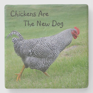 Dessous-de-verre En Pierre Les Poulets Sont Le Nouveau Chien