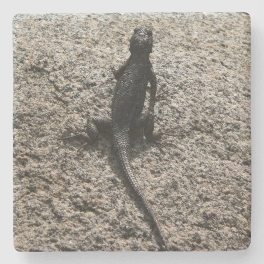 Dessous-de-verre En Pierre Lézard noir (Devant)