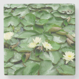 Dessous-de-verre En Pierre Lillies d'eau