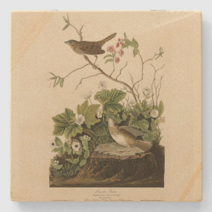Dessous-de-verre En Pierre Lincoln Finch (Bruant) Audubon's Birds of America
