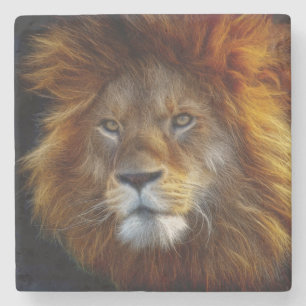 Dessous-de-verre En Pierre Lion