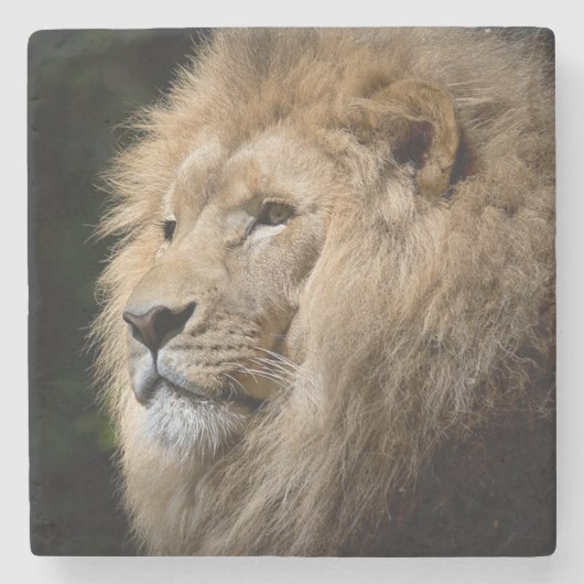 Dessous-de-verre En Pierre Lion (Devant)