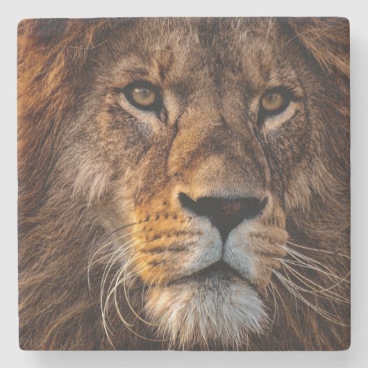 Dessous-de-verre En Pierre Lion (Devant)