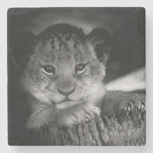 Dessous-de-verre En Pierre Lion bébé