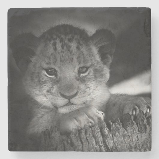 Dessous-de-verre En Pierre Lion bébé (Devant)
