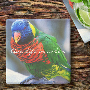 Dessous-de-verre En Pierre Lorikeet Rouge Bleu Vert Oiseau Vivre en couleur