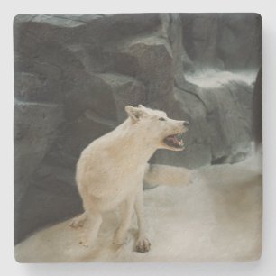 Dessous-de-verre En Pierre Loup blanc