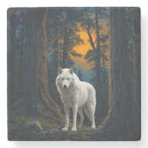 Loup Blanc Sauvage sous la Forêt Animale au Clair