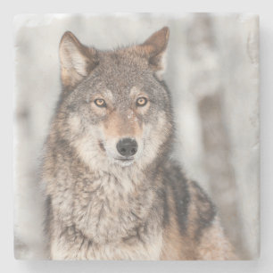 Dessous-de-verre En Pierre Loup gris (lupus de Canis) avec un dos d'oreille