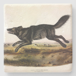Dessous-de-verre En Pierre Loup noir ou Loup noir-américain (Canis Lupus)