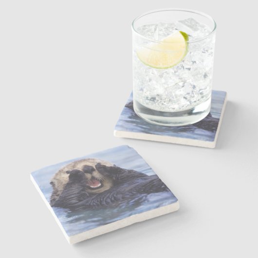 Dessous-de-verre En Pierre Loupe de mer | Alaska, USA (Côté)