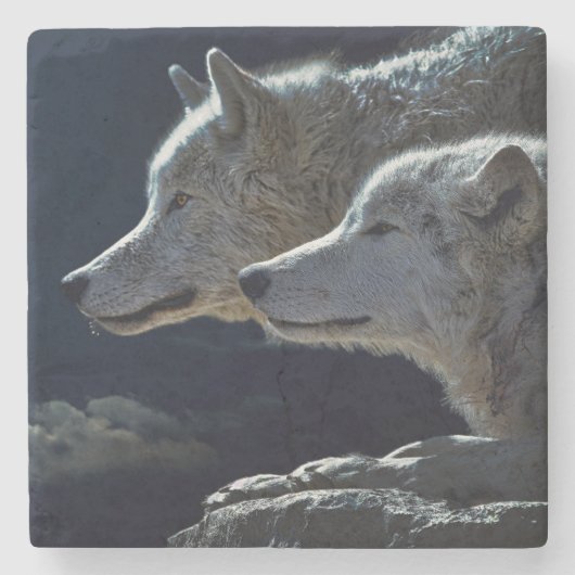 Dessous-de-verre En Pierre Loups (Devant)