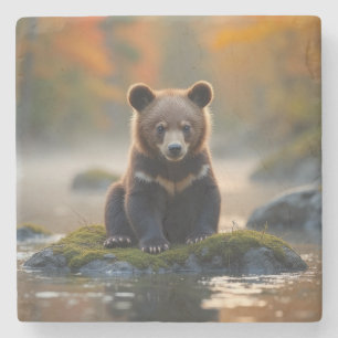 Dessous-de-verre En Pierre L'ours jeune en automne