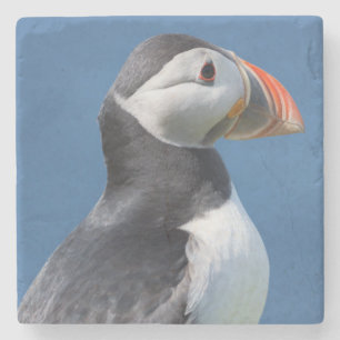 Dessous-de-verre En Pierre Macareux Atlantique (Fratercula Arctica) Sur Une F