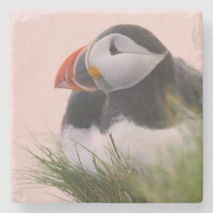 Dessous-de-verre En Pierre Macareux moine (Fratercula arctica)