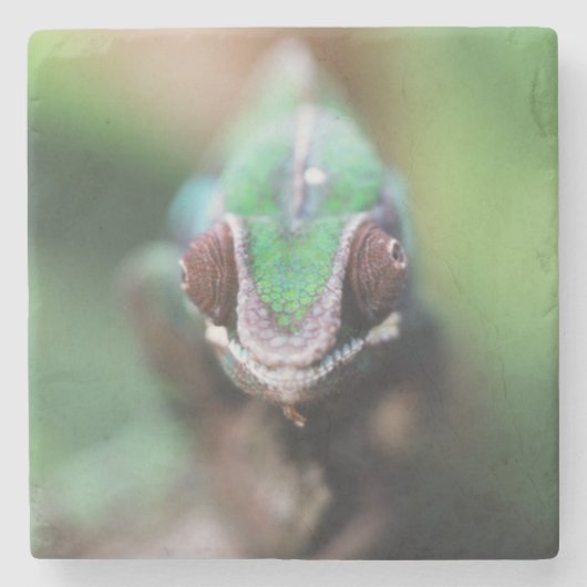 Dessous-de-verre En Pierre Madagascar, bar rouge Panther Chameleon (Devant)