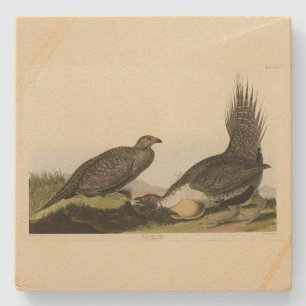 Dessous-de-verre En Pierre (Male Fowl) des Plaines Audubon Birds of America