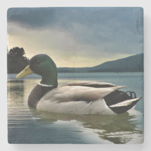 Dessous-de-verre En Pierre Mallard Duck