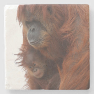 Dessous-de-verre En Pierre Maman et bébé Orangutan