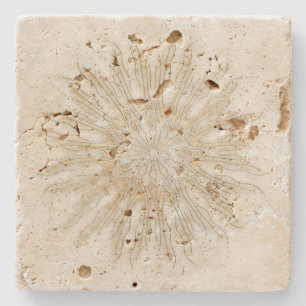 Dessous-de-verre En Pierre Mandala de sunburst de style boho bio blanc doré