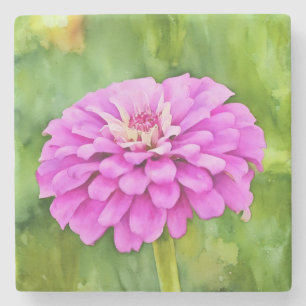 Dessous-de-verre En Pierre Marbre rose Zinnia