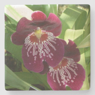 Dessous-de-verre En Pierre Maroon Orchids II