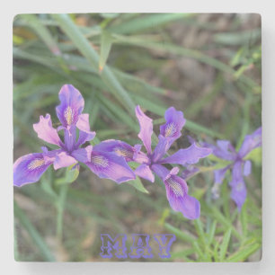 Dessous-de-verre En Pierre May Iris