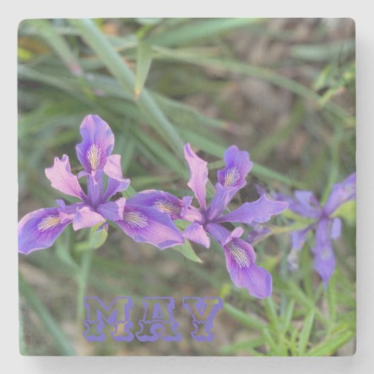 Dessous-de-verre En Pierre May Iris (Devant)