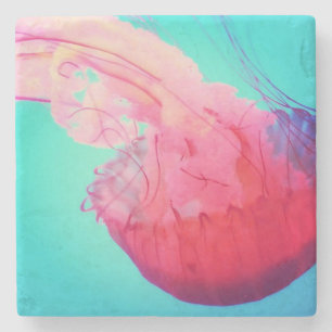 Dessous-de-verre En Pierre Méduse