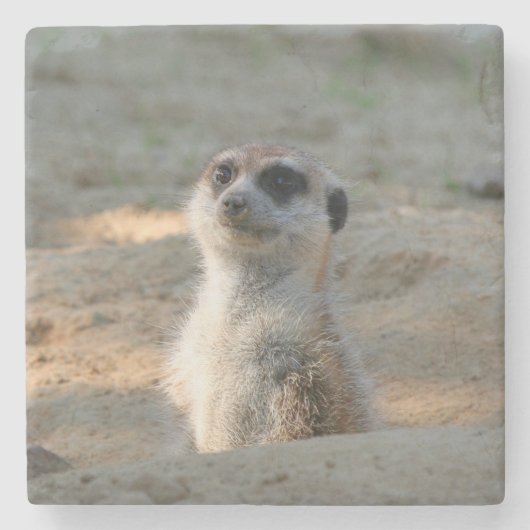Dessous-de-verre En Pierre Meerkat 004 (Devant)