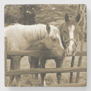 Dessous-de-verre En Pierre Meilleurs amis