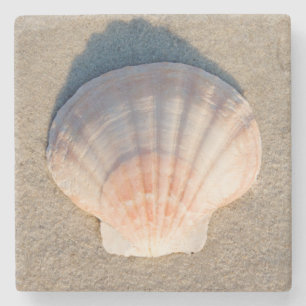 Dessous-de-verre En Pierre Mer Shell s'étendant sur la plage sablonneuse