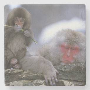 Dessous-de-verre En Pierre Mère et enfant singe des neiges, Jigokudani, Nagan