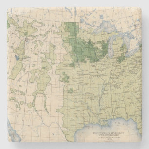 Dessous-de-verre En Pierre Mille de 161 Barley/sq