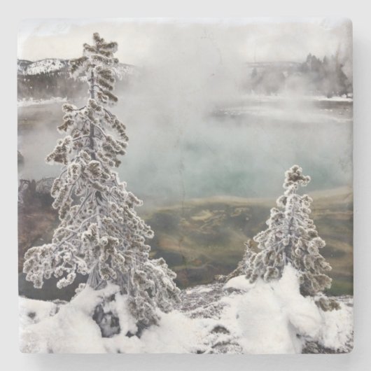 Dessous-de-verre En Pierre Milou Yellowstone (Devant)