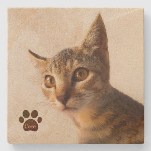 Dessous-de-verre En Pierre Modèle photo de chien chat chat chat chat pour ani
