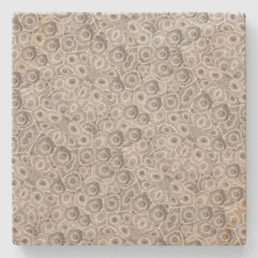 Dessous-de-verre En Pierre Motif Petoskey Stone (Devant)