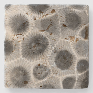 Dessous-de-verre En Pierre Motif Petoskey Stone