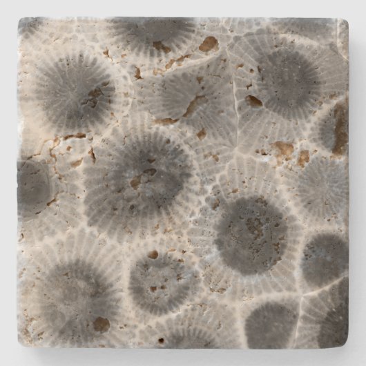 Dessous-de-verre En Pierre Motif Petoskey Stone (Devant)